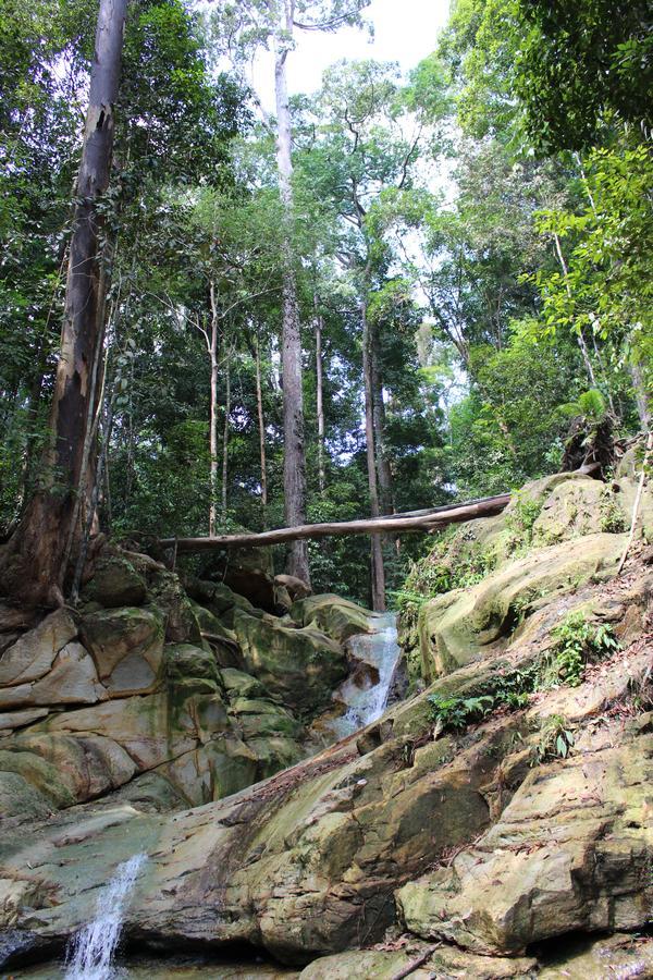 Nanga Damai Homestay Santubong Exteriér fotografie